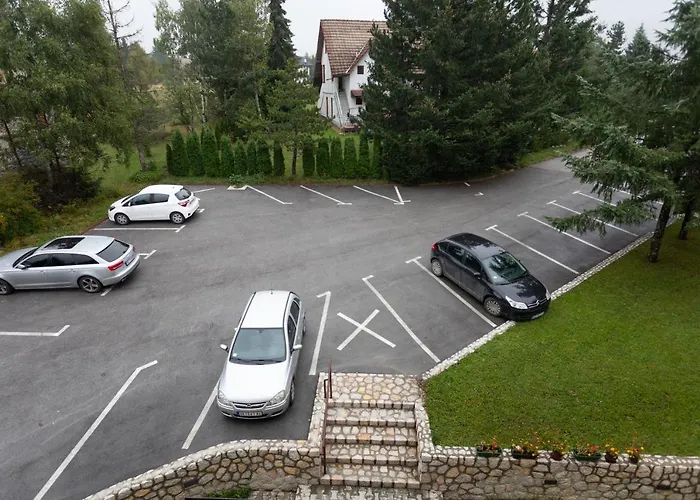 Orhideja Златибор