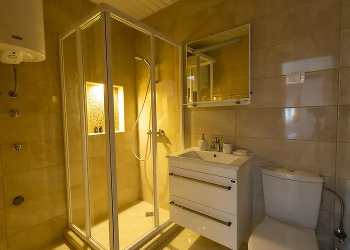 Апартаменты Orhideja Златибор